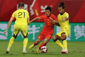 杨文龙曾在
